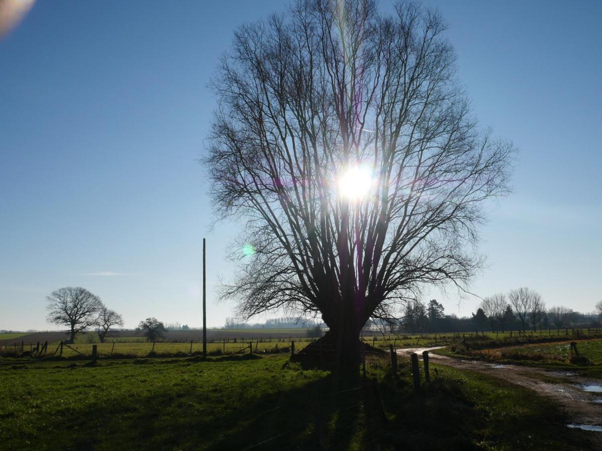 La Cabane Du Chasseur Flines-Les-Mortagne ภายนอก รูปภาพ