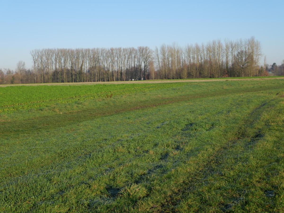 La Cabane Du Chasseur Flines-Les-Mortagne ภายนอก รูปภาพ